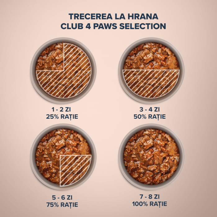 CLUB 4 PAWS Selection, Plic hrana umeda pisici adulte, Bucati de Iepure si Curcan in sos, Set 12x80g [3]