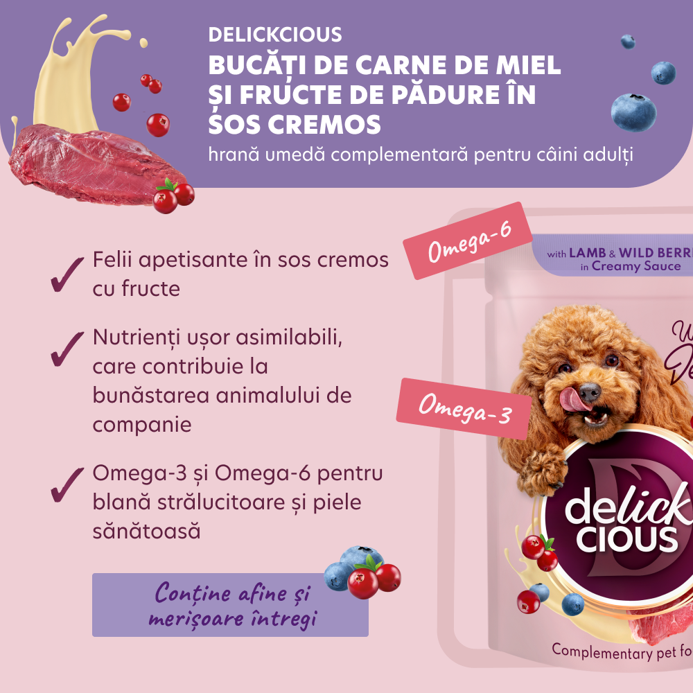 DELICKCIOUS Plic caini Desert Miel si fructe de padure in sos cremos. Set 12x80g [3]