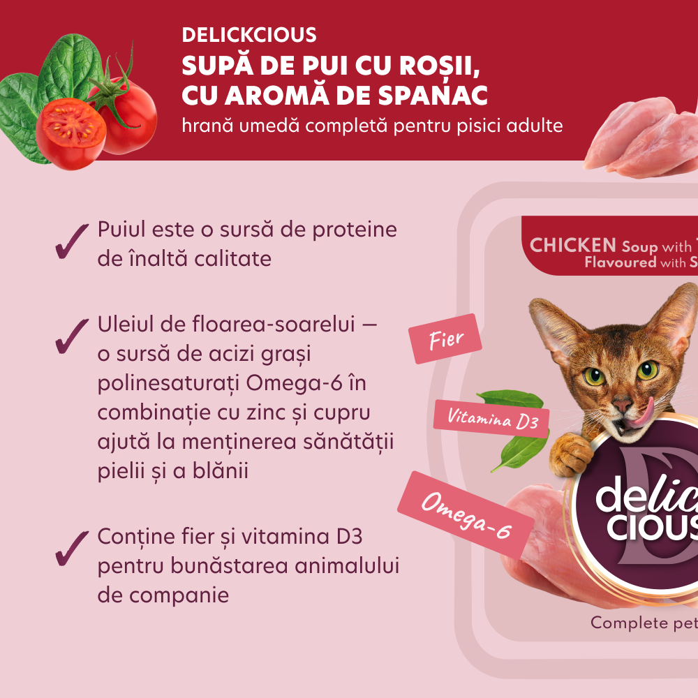 DELICKCIOUS Supa pisici Pui cu rosii si spanac x80g [3]