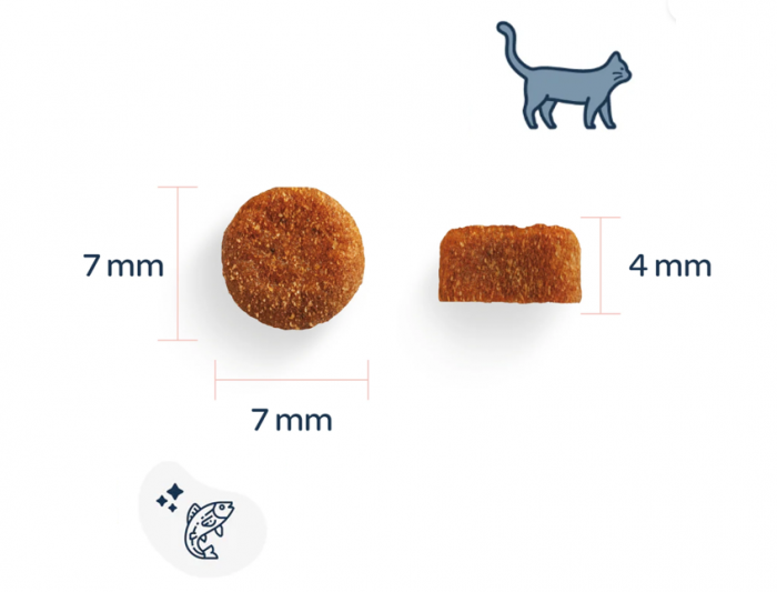 MARLY&DAN HRANA USCATA PENTRU PISICI KITTEN 400g [2]