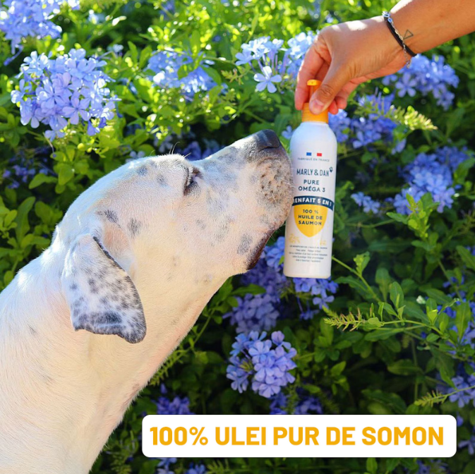 MARLY&DAN Ulei de somon 250ml [3]