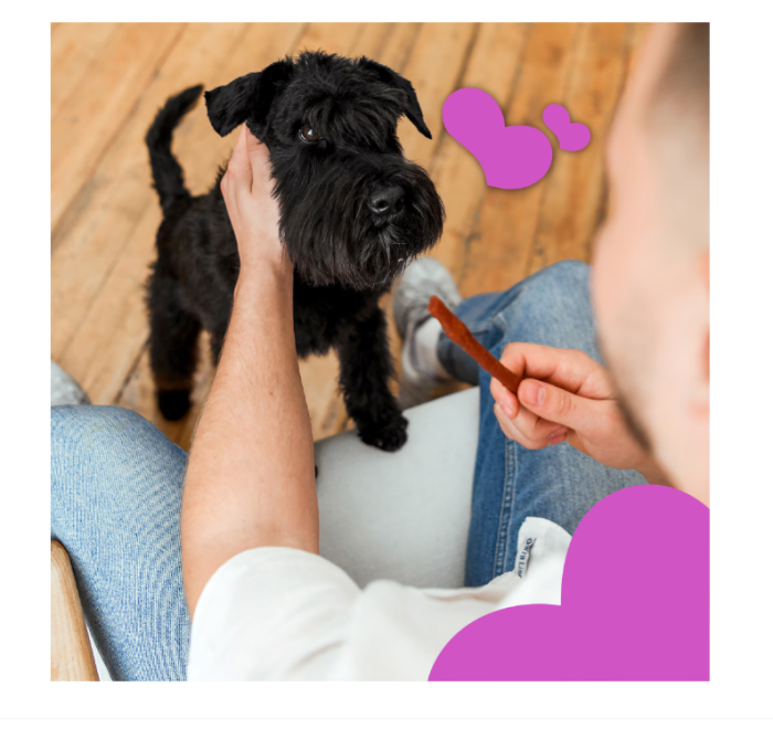 MAVSY Recompense caini Jerky Sticks de Rata 120g [4]