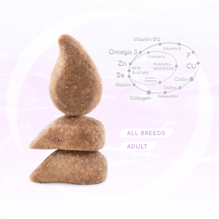 OPTIMEAL Beauty Harmony, Hrana uscata fara cereale pentru pisici, Fructe de mare, 4kg [2]