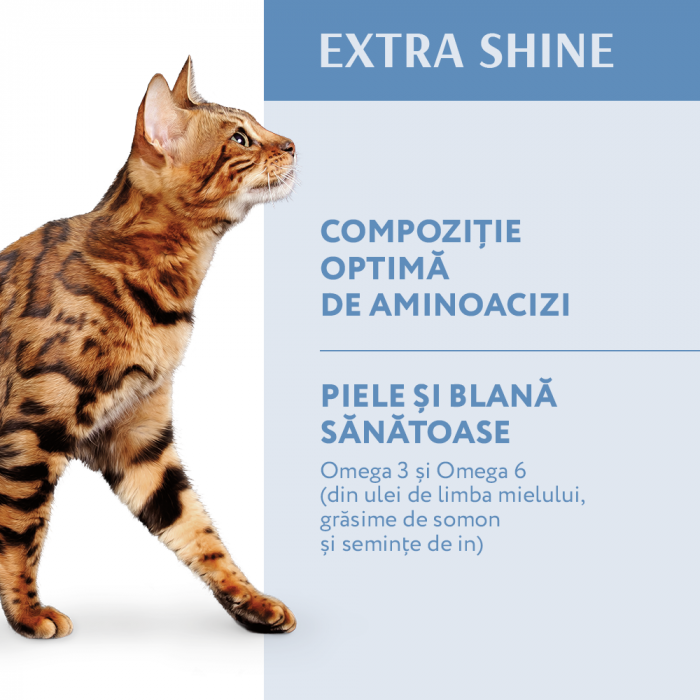 OPTIMEAL Extra Shine, Hrana uscata pisici adulte, Cod, 1.5kg [4]