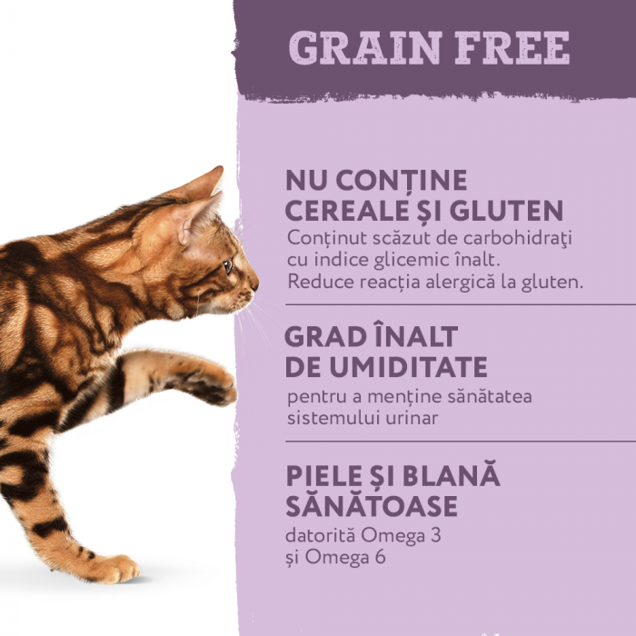 OPTIMEAL Grain free, Plic hrana umeda fara cereale pisici adulte, Miel si pui in sos de dovleac, 85g [4]