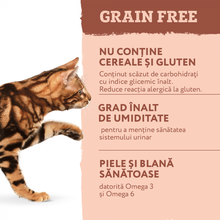 OPTIMEAL Grain free, Plic hrana umeda fara cereale pisici adulte, Somon si creveti in sos, 85g [4]