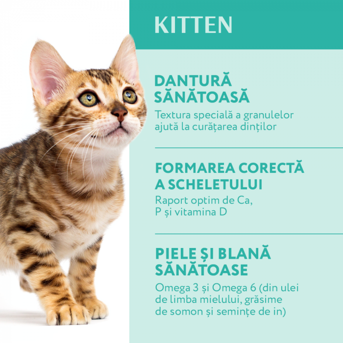 OPTIMEAL Kitten, Hrana uscata pisici junior, Pui, 4kg [4]