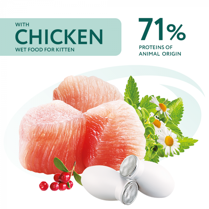 OPTIMEAL Kittens, Set 3+1 Plicuri hrana umeda pentru pisoi juniori, Gaina, 4x85g [3]