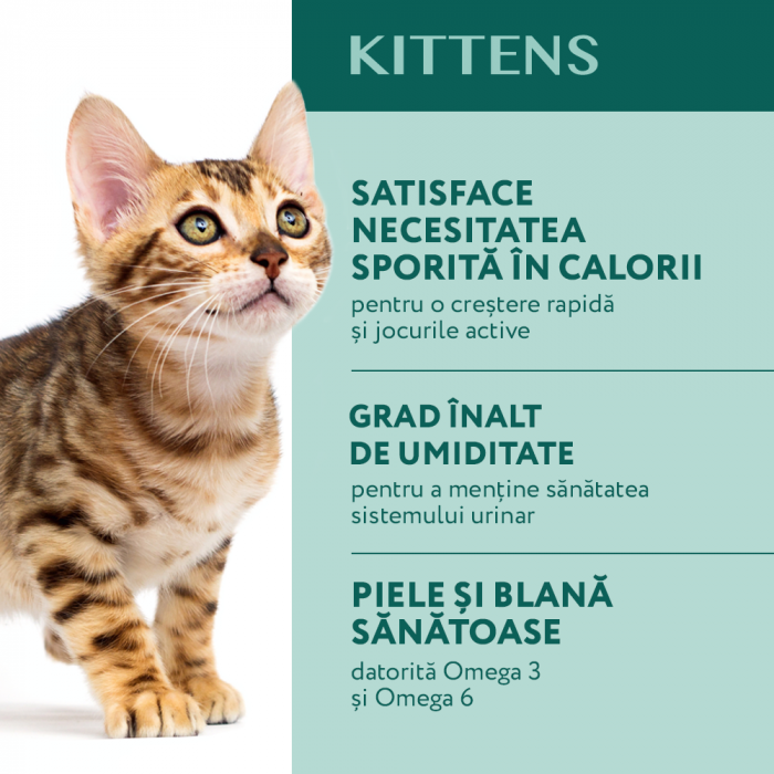 OPTIMEAL Kittens, Set 3+1 Plicuri hrana umeda pentru pisoi juniori, Gaina, 4x85g [4]