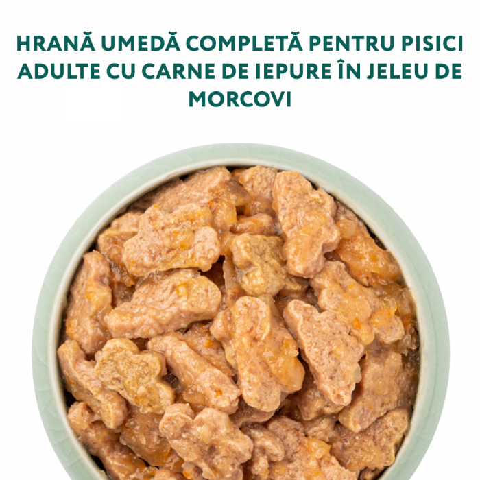 OPTIMEAL Plic hrana umeda pisici adulte, Iepure in jeleu de morcov, Set 12x85g [2]