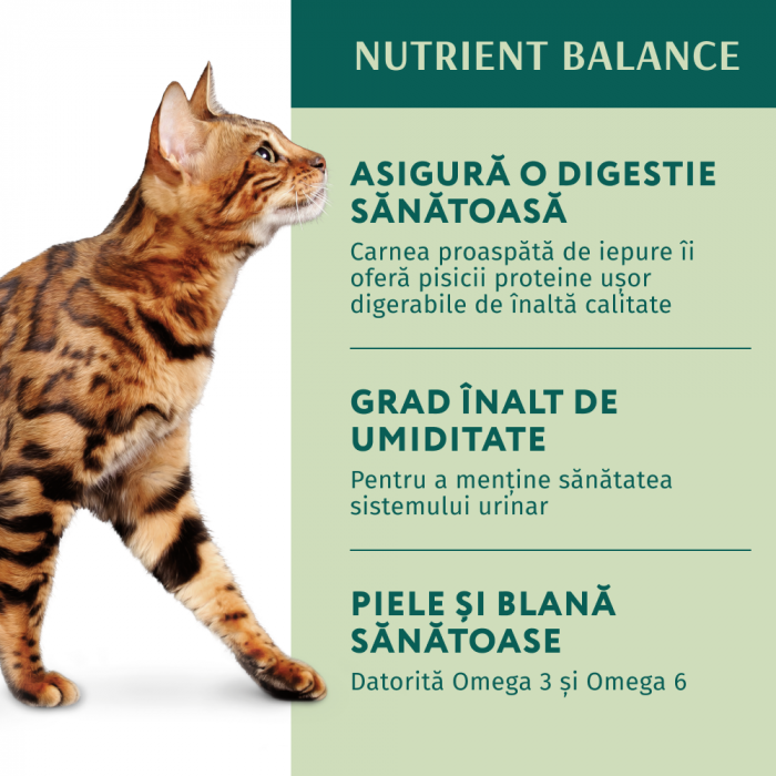 OPTIMEAL Plic hrana umeda pisici adulte, Iepure in jeleu de morcov, Set 12x85g [6]