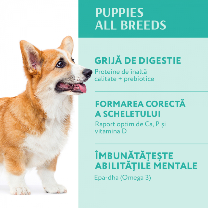 OPTIMEAL Puppies, Hrana uscata catei juniori, Toate rasele, Curcan, 20kg [4]