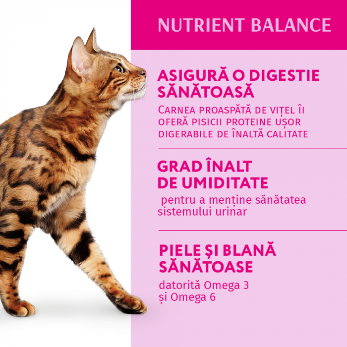 OPTIMEAL Set 3+1 Plicuri hrana umeda pentru pisici adulte, Miel si legume in jeleu, 4x85g [4]