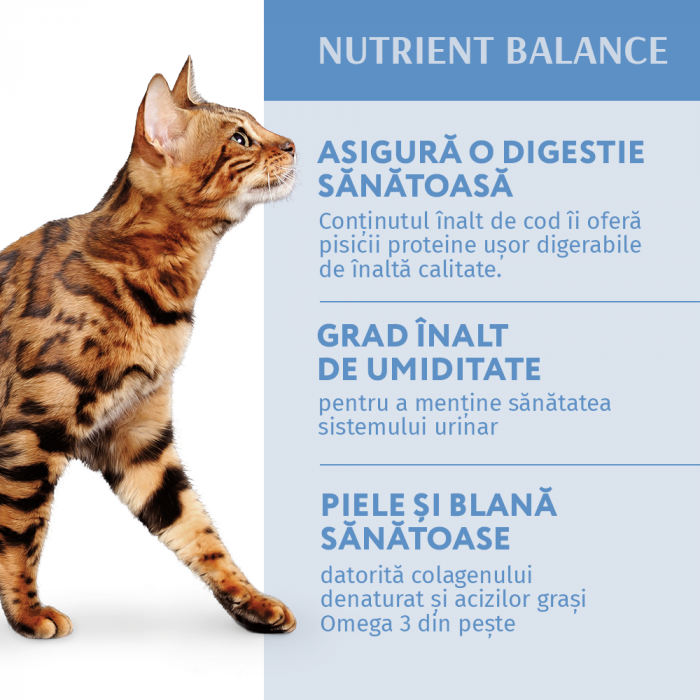 OPTIMEAL Set 3+1 Plicuri hrana umeda pisici adulte, Cod si legume in jeleu, 4x85g [4]