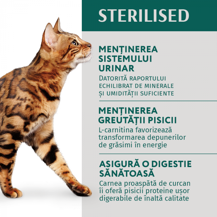 OPTIMEAL Sterilised, Set 3+1 Plicuri hrana umeda pentru pisici adulte sterilizate, Curcan si pui in sos, 4x85g [4]