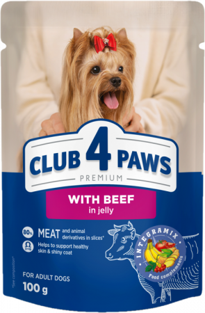Hrana umeda - CLUB4PAWS Plic hrana umeda caini adulti, Vita in jeleu, Set 24x100g