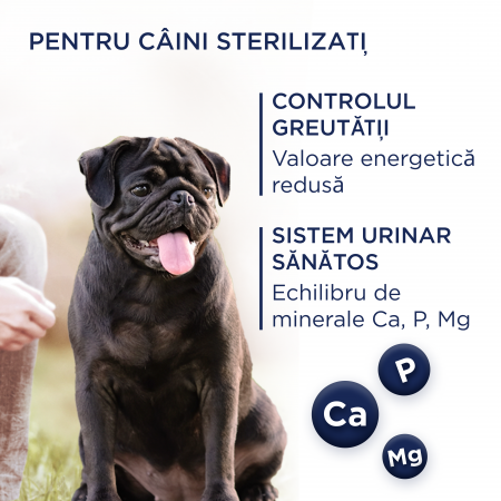 CLUB4PAWS Light, Hrana uscata caini adulti, Controlul greutatii, Talie mica, Curcan, 5kg [5]