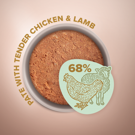 CLUB 4 PAWS Selection, Pate hrana umeda caini adulti, Pui si miel, 400g [1]