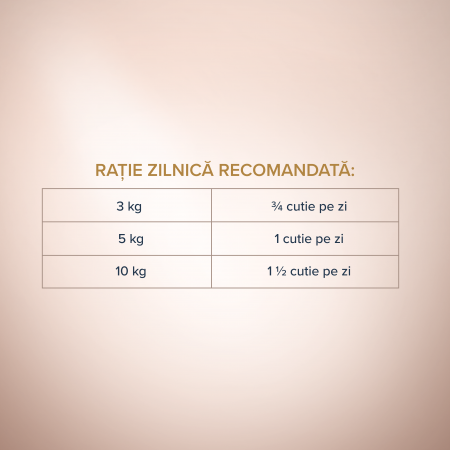 CLUB 4 PAWS Selection, Pate hrana umeda caini adulti, Pui si vita, 400g [3]