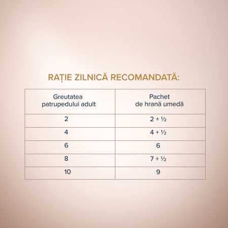 CLUB 4 PAWS Selection, Plic hrana umeda caini adulti, Talie mica, Bucati somon si macrou in sos, Set 12x85g [4]