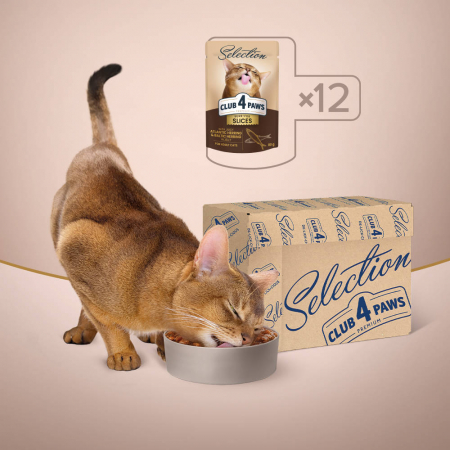 CLUB 4 PAWS Selection, Plic hrana umeda pisici adulte, Bucati de Hering Baltic&Atlantic in jeleu, Set 12x80g [1]