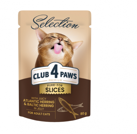 CLUB 4 PAWS Selection, Plic hrana umeda pisici adulte, Bucati de Hering Baltic&Atlantic in jeleu, Set 12x80g [0]
