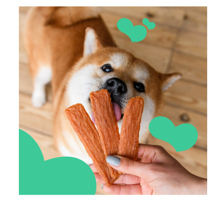 MAVSY Recompense caini Jerky Chips de Iepure 100g [4]