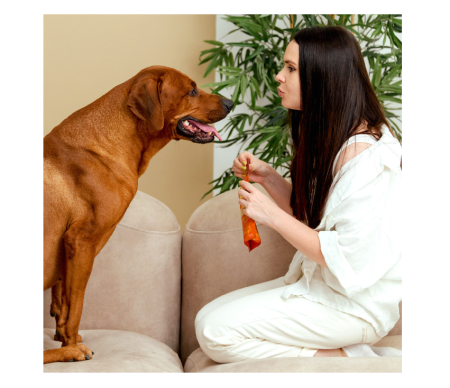 MAVSY Recompense caini Jerky Soft Slice de Rata 100g [3]