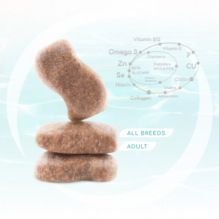 OPTIMEAL Beauty Fitness, Hrana uscata fara cereale pentru caini, Fructe de mare, 1.5kg [1]