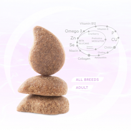 OPTIMEAL Beauty Harmony, Hrana uscata fara cereale pentru caini, Fructe de mare, 1.5kg [1]