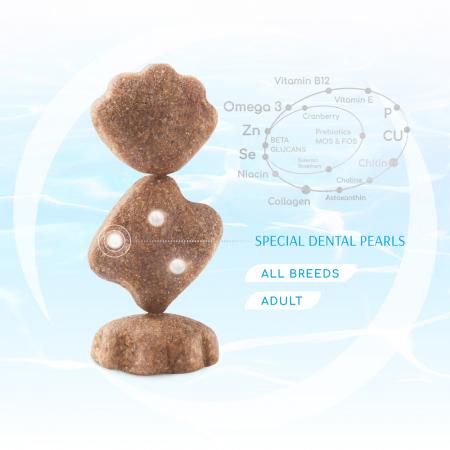 OPTIMEAL Beauty Podium, Hrana uscata fara cereale pentru pisici, Fructe de mare, 4kg [1]