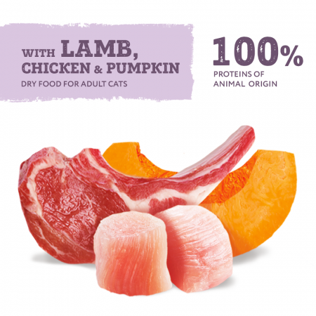 OPTIMEAL Grain free, Plic hrana umeda fara cereale pisici adulte, Miel si pui in sos de dovleac, 85g [2]