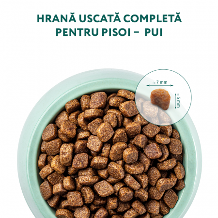 OPTIMEAL Kitten, Hrana uscata pisici junior, Pui, 4kg [1]