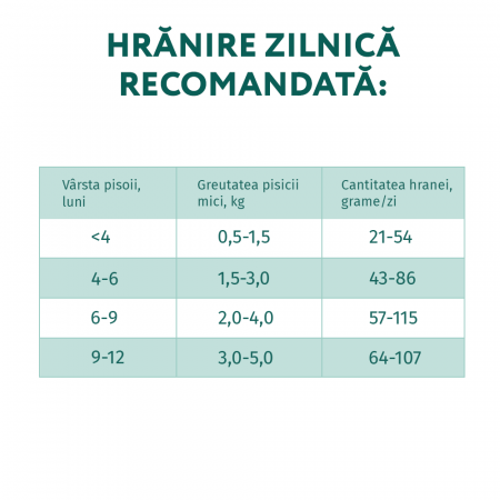 OPTIMEAL Kitten, Hrana uscata pisici junior, Pui, 700g [5]