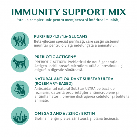 OPTIMEAL Plic hrana umeda pisici adulte, Iepure in jeleu de morcov, Set 12x85g [4]