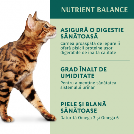 OPTIMEAL Plic hrana umeda pisici adulte, Iepure in jeleu de morcov, Set 12x85g [5]