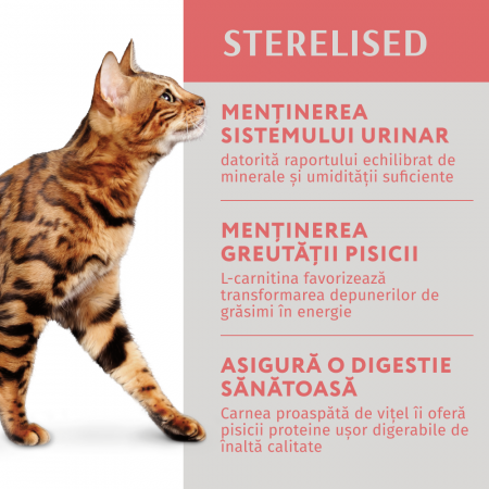 OPTIMEAL Plic hrana umeda pisici adulte sterilizate, Vita si curcan in jeleu, Set 12x85g [2]