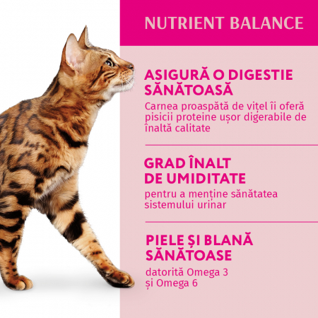 OPTIMEAL Plic hrana umeda pisici adulte, Vita in sos de merisoare, Set 12x85g [6]