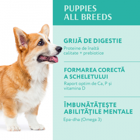 OPTIMEAL Puppies, Hrana uscata catei juniori, Toate rasele, Curcan, 1.5kg [3]