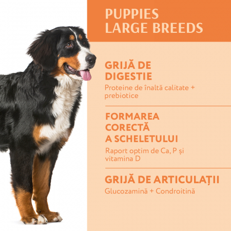 OPTIMEAL Puppy, Hrana uscata catei juniori, Talie mare, Curcan, 12kg [3]