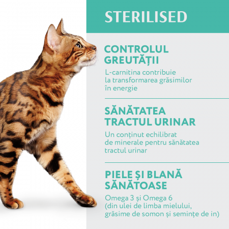 OPTIMEAL Sterilised, Hrana uscata pentru pisici sterilizate, Curcan si ovaz, 4kg [3]
