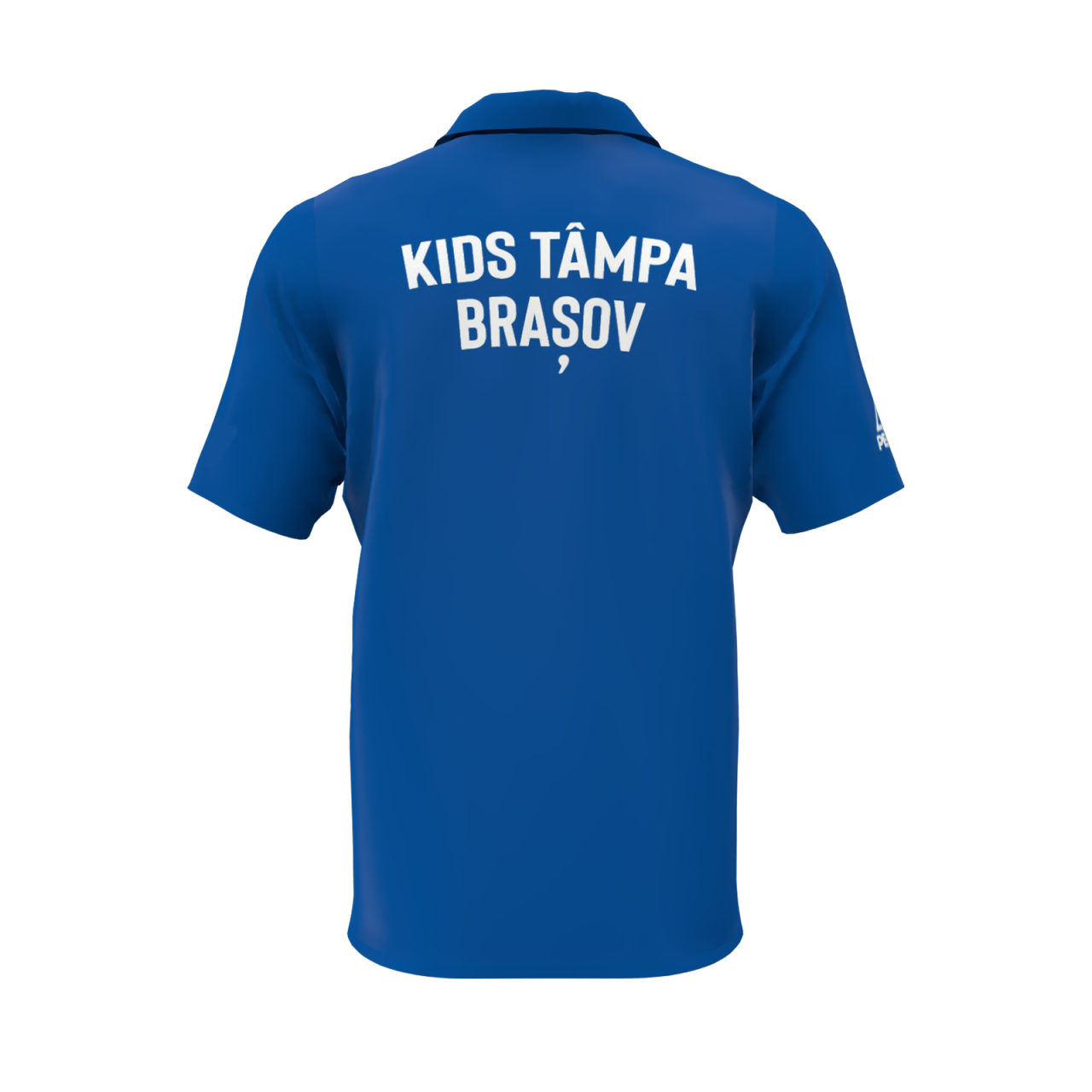 Tricou Polo Bumbac Prezentare Kids Tampa albastru [3]