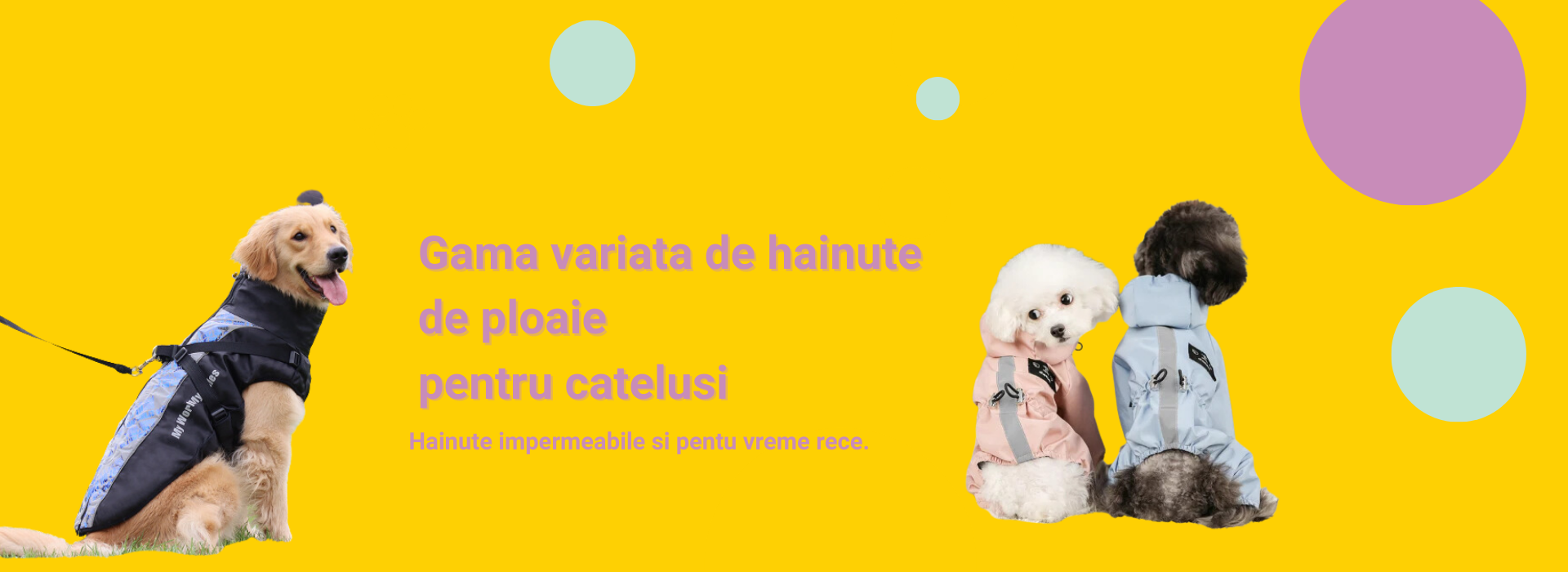 Hainute de ploaie pentru caini