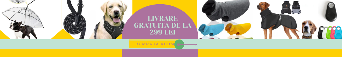 Transport gratuit