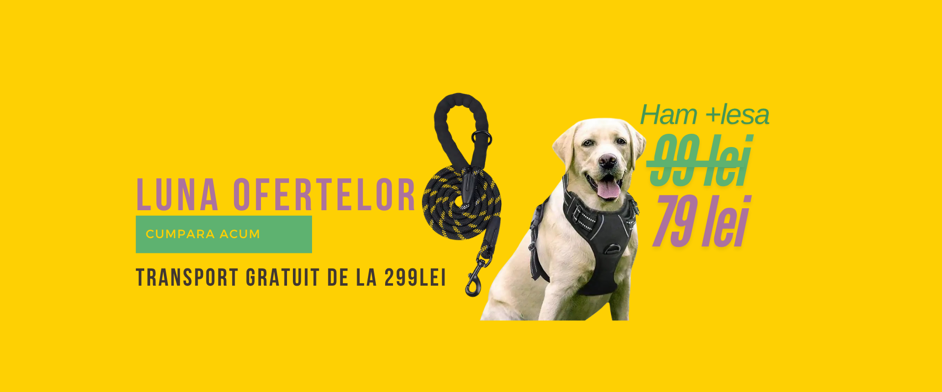 Promotii 40 %
