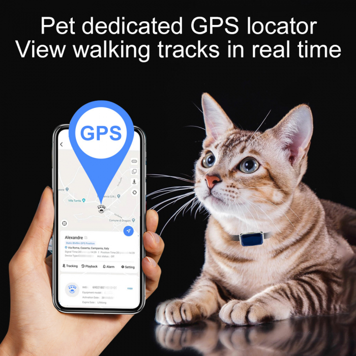 gps pentru caini [6]