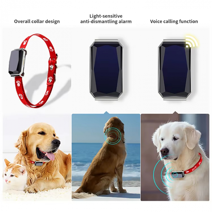 gps pentru caini [7]