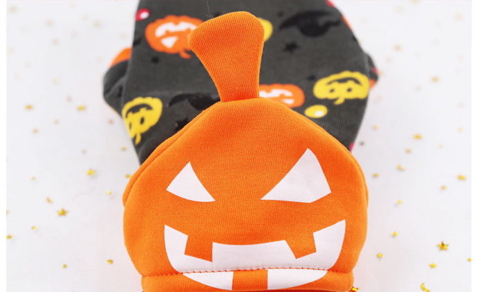 haina de halooween pentru caini [5]