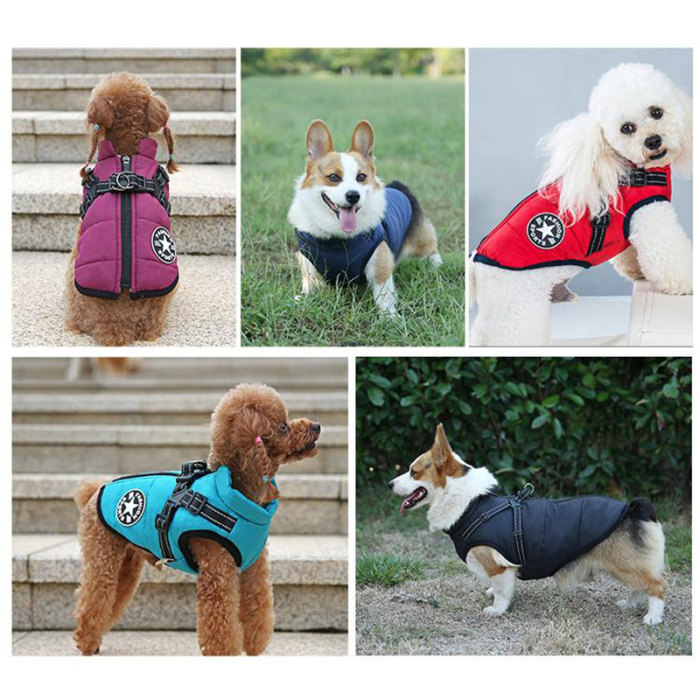 Vesta cu ham caine [4]