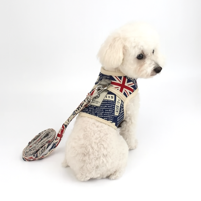 ham pentru caini [1]